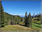 foto Pizzo di Levico